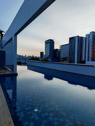 The Citron (D8), Apartment #553699121